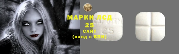 СК Ветлуга