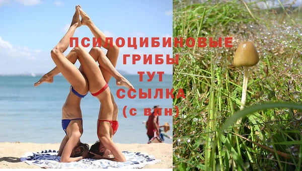 mix Пестово