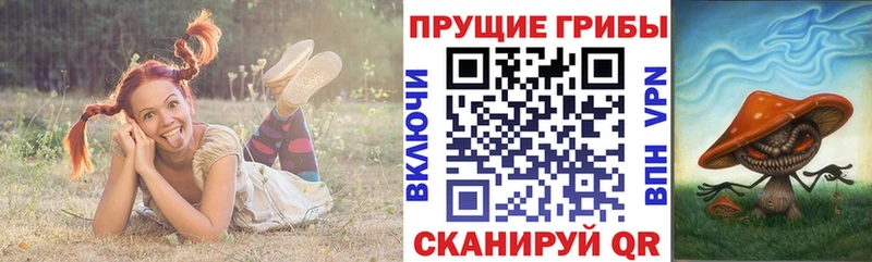 OMG вход  Усолье-Сибирское  Галлюциногенные грибы прущие грибы  купить  сайты 