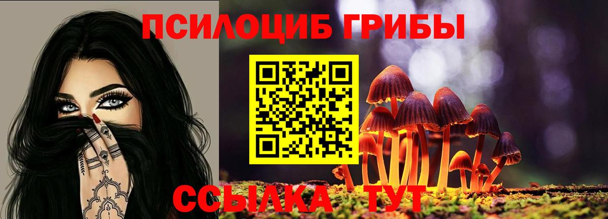 Усолье-Сибирское  Псилоцибиновые грибы GOLDEN TEACHER  Вход с VPN 