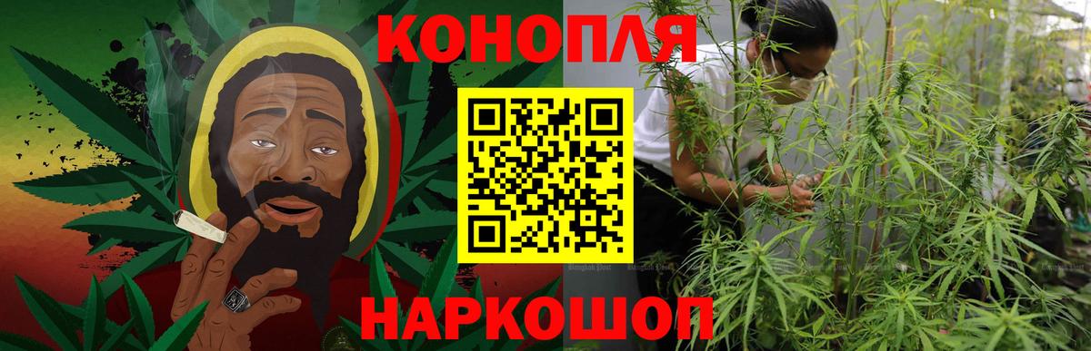 Бошки марихуана сатива Усолье-Сибирское